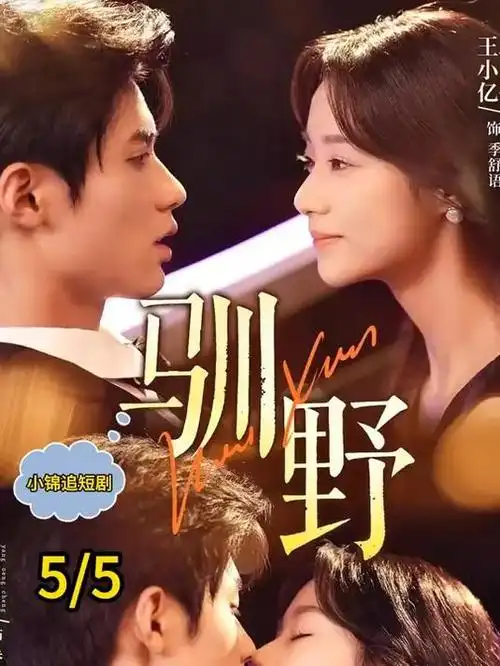 山海邮局 热播剧全集